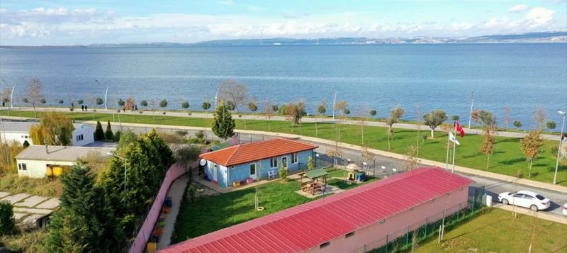 SOKAKDAKİ CANLARA DENİZ MANZARALI TEDAVİ ...