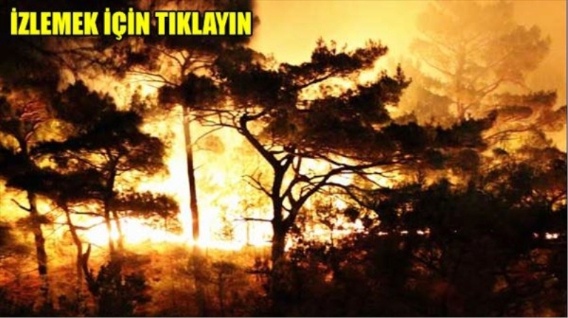 Son dakika: Kazdağları yanıyor!..