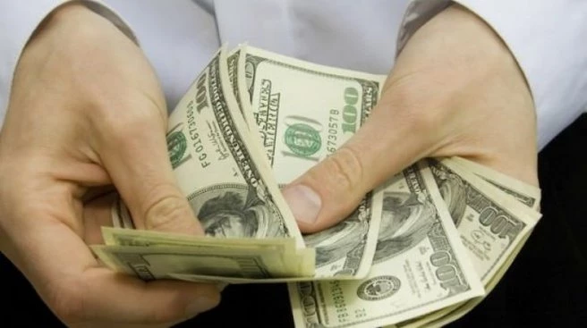 SPK anketi açıkladı! `Dolar yükselecek`