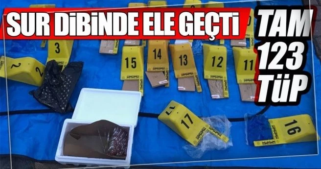 Sur dibinde gömülü olarak bulundular