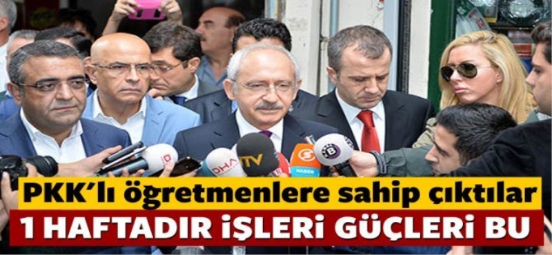 Tanrıkulu'ndan PKK'lı öğretmenlere destek