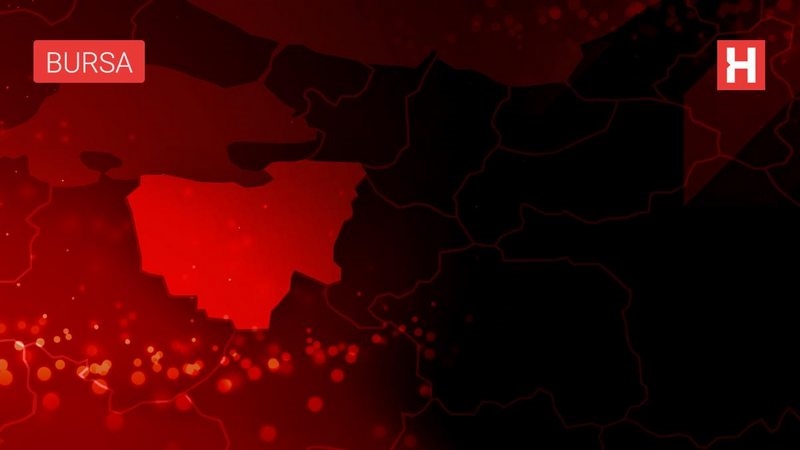 Tatile geldiler aşı olup döndüler