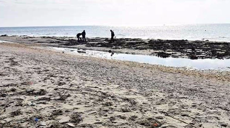Tekirdağ'da deniz 15 metre çekildi