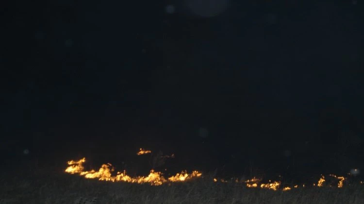 Tekirdağ'da korkutan yangın