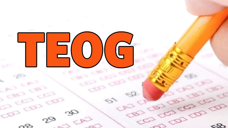 TEOG sınav sonucu bugün açıklanır mı?
