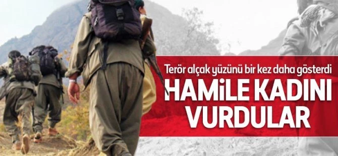 Teröristler Şırnak'ta hamile kadını vurdu