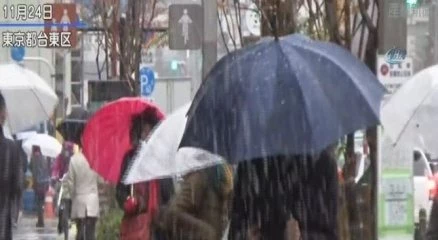 Tokyo?ya 54 yıl sonra Kasım?da kar yağdı