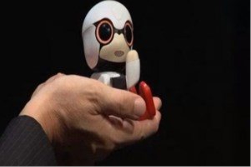 Toyota sohbet eden cep robotu üretti