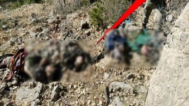 TSK duyurdu: PKK'ya bir darbe daha!