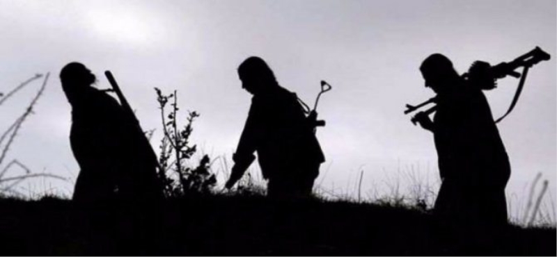 Tunceli'de Kalleş Pkk'ya Ağır darbe!