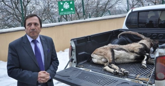 Tunceli`de avladılar, cezası 12 bin lira