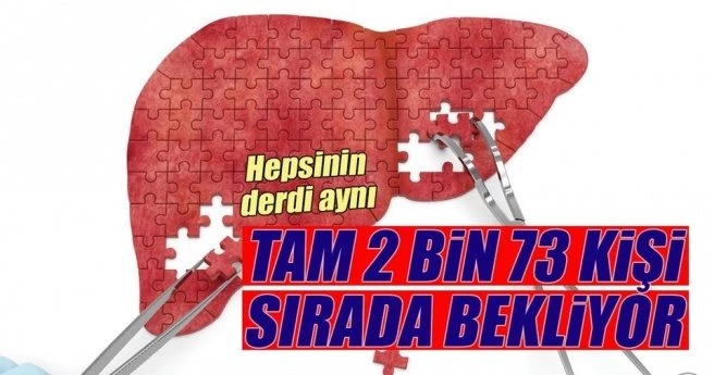 Türkiye`de 2 bin 73 hasta karaciğer nakli bekliyor