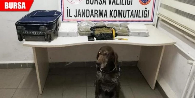 UYUŞTURUCUYA ROKETLİ DARBE