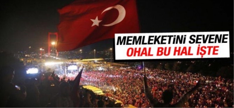 Vatandaşlar darbeye karşı Boğaziçi Köprüsü'nde buluştu