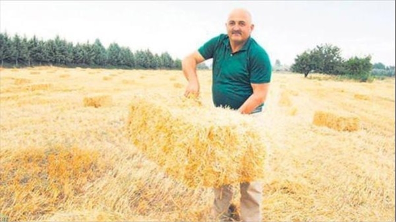 ?Vatanıma feda olsun?