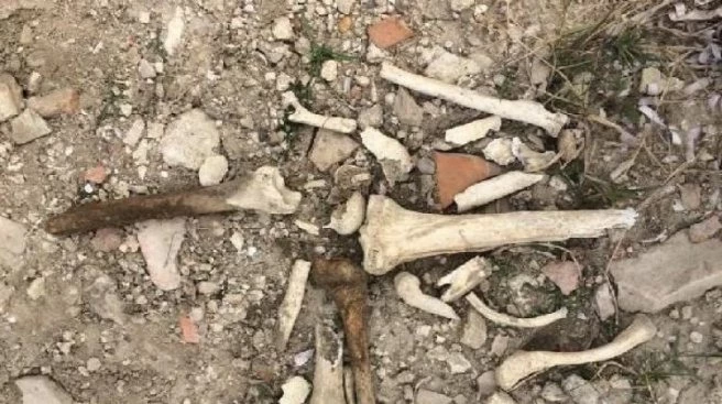 Yağmur yağınca ortaya çıktı!