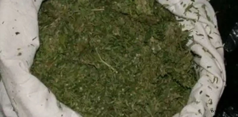 Yakalanan 512 gram esrar şüphelisi serbest kaldı