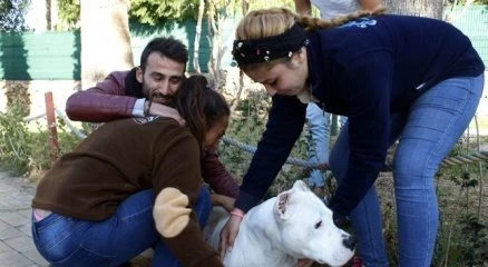 Yangından kurtarılan köpek mutluluk yaşattı