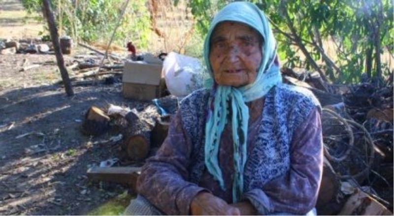 Yaşlı kadının dağda çile dolu hayatı
