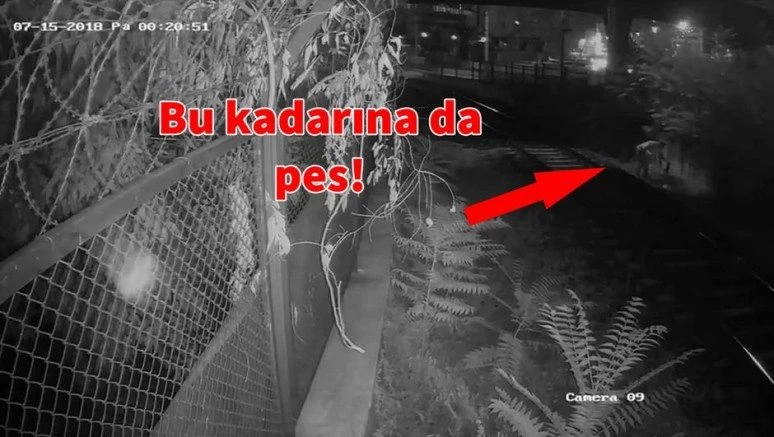 Yavru kediye kürekle şiddet