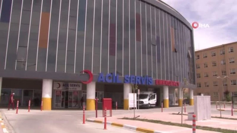 Yaz mevsimiyle birlikte Erzincan`da 7 kişi kene ısırması sonucu hastanelik oldu