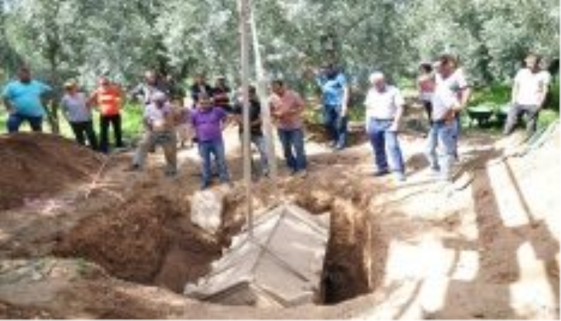 Zeytinlikten lahit fışkırıyor