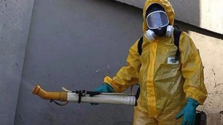Zika virüsü artık dünyayı tehdit etmiyor